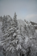 snow covered mountains