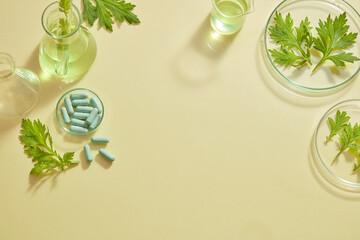 Mugwort decorated in petri dish with blue capsule in laboratory background for experiment...