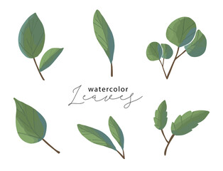 Watercolor green leaves illustration set. Shape green leaf illustration clip art isolated in white background set.