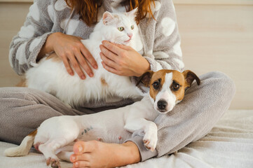 Caucasian woman holding a white fluffy cat and Jack Russell Terrier dog while sitting on the bed....