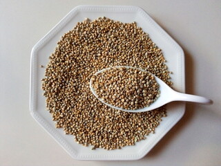 pearl millet or bajra, protein fiber  grains isolated on white background