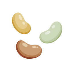 Bean grains. Different soya sprouts in flat style isolated on white background