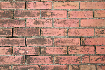 Fototapeta premium background brick wall