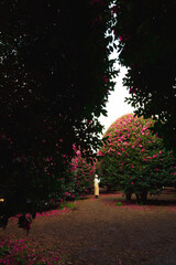 Fototapety na wymiar - Fototapeta24.pl