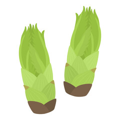 たらの芽のイラスト