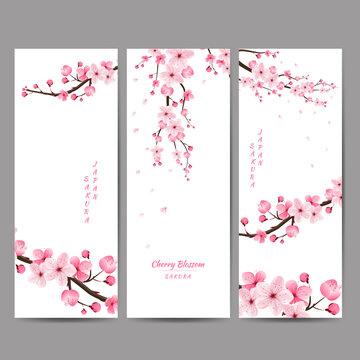 Cherry blossom, sakura, Japan,Japanese floral pattern ,vector illustration..