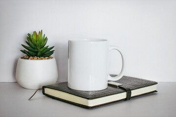 cup and book