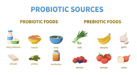 Probiotics Sources Cartoon Infographics