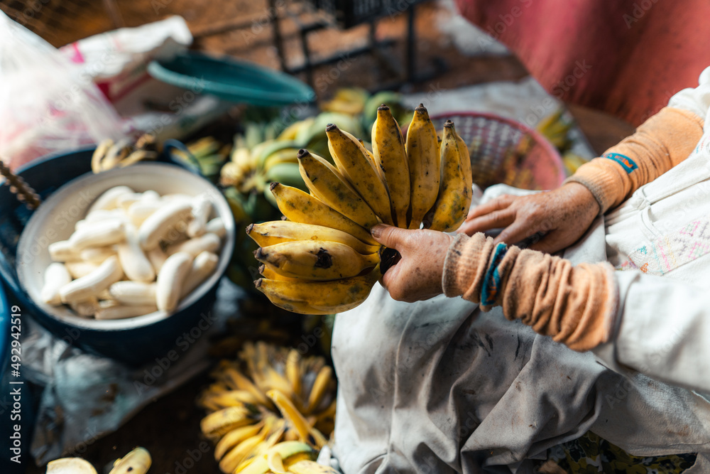 Poster cultivated banana for processing ,banana in the hand of the seller