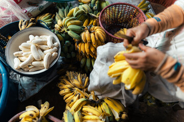 cultivated banana for processing ,Banana in the hand of the seller