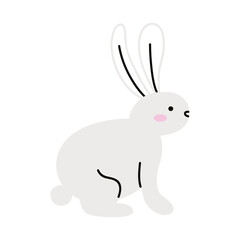 cute rabbit white pet