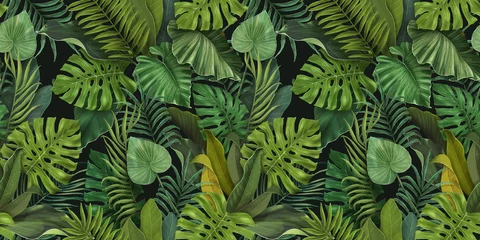 Foto op Plexiglas Groen naadloos tropisch behang. Patroon met tropische bladeren van monstera, palm, banaan. Donkere plantenachtergrond. Geweldig voor stof, behang, papierontwerp © Polina