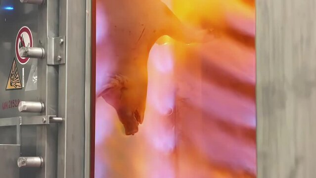Heat treatment by fire in the huge furnace, modern slaughterhouse. Industrial meat processing plant factory. Raw pork pig hanging on hook. Process before cutting in half with a saw