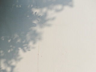 The shadow of the sun shining through the wood