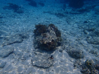 東ティモール　ジャコ島の海