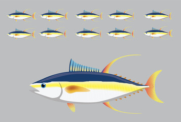 Animal Animation Sequence Yellowfin Tuna Swimming Cartoon Vector