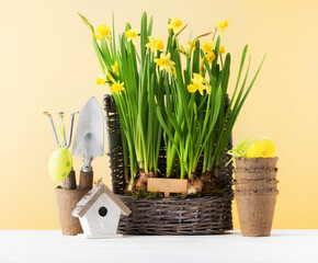 Easter arrangement with beautiful spring flowers, birdhouse and Easter decor