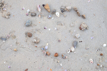 Sea Shells in a shape of HEART