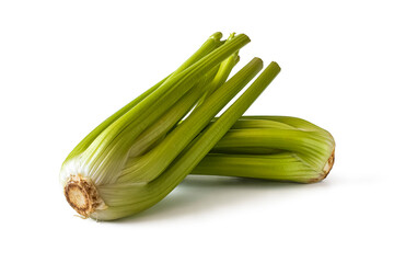 Two celery with juicy and crispy stalks, on white