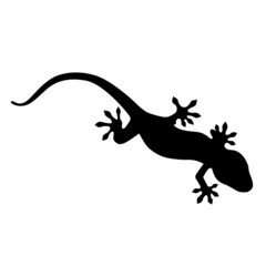 ヤモリのシルエットイラスト（白背景・ベクター・切り抜き）