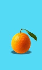 Orange fruit for immune system boost. High in antioxidants, bioflavonoids and vitamins.