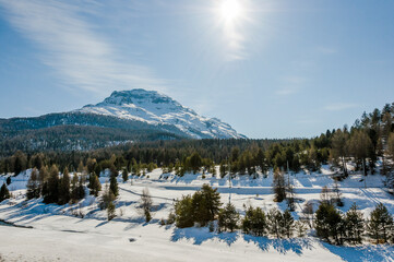 Pontresina, Berninabach, Berninapass, Val Bernina, Piz Rosatsch, Winter, Wintersport, Wanderweg, Langlauf, Langlaufloipe, Oberengadin, Graubünden, Alpen, Schweiz