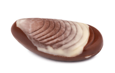 Chocolate sweets shaped as seashells isolated on white background