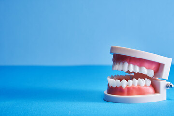 model dentures against blue background