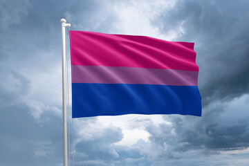 LGBTQIA+ Bisexual pride flag. Bisexuality flag symbol in the lgbt community