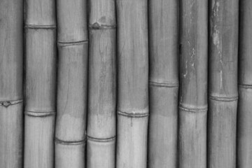 Gray texture of bamboo wood, background.