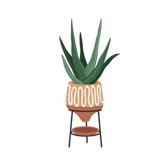 Agave, potted home plant. Aloe vera, green succulent growing in flowerpot. Houseplant, natural interior decoration. Indoor vegetation in planter. Flat vector illustration isolated on white background