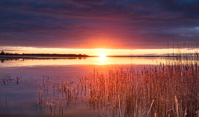 Fototapeta premium sonnenaufgang am meer