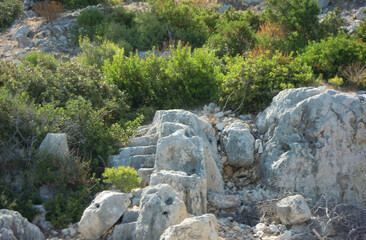 rocks in the forest