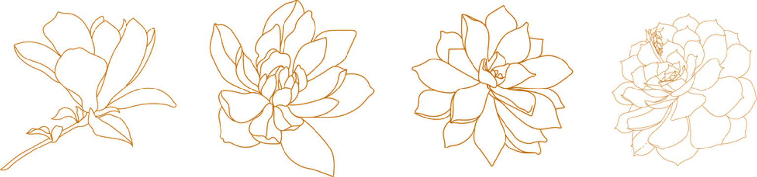 Set of graphical golden hand drawn summer, spring flowers, magnolia. Vector.