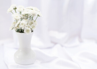 White flowers in white vase on white background with copy space and selective focus. Greeting or invitation card