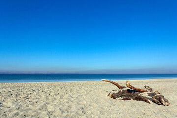 Beautiful beach on the Baltic Sea