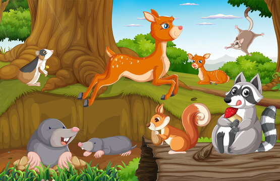 Scene with wild animals in the forest