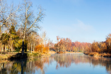 Vegetation in fall time, river Tagus and fog. Aranjuez. Madrid. Spain. Europe.