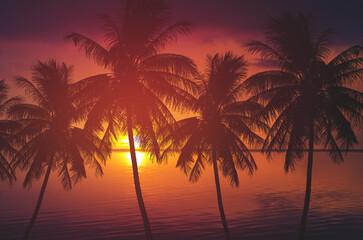 silhouette palm tree and sea at sunset summer nature background