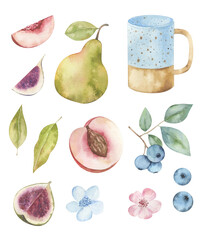 Fruits and berries set of watercolor elements