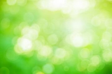 Abstract blurred green color for background, Blur leaves at the health garden outdoor 
