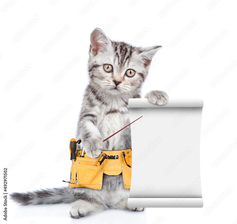 Aufkleber Funny cat wearing toolbelt points on empty list.  Isolated on white background