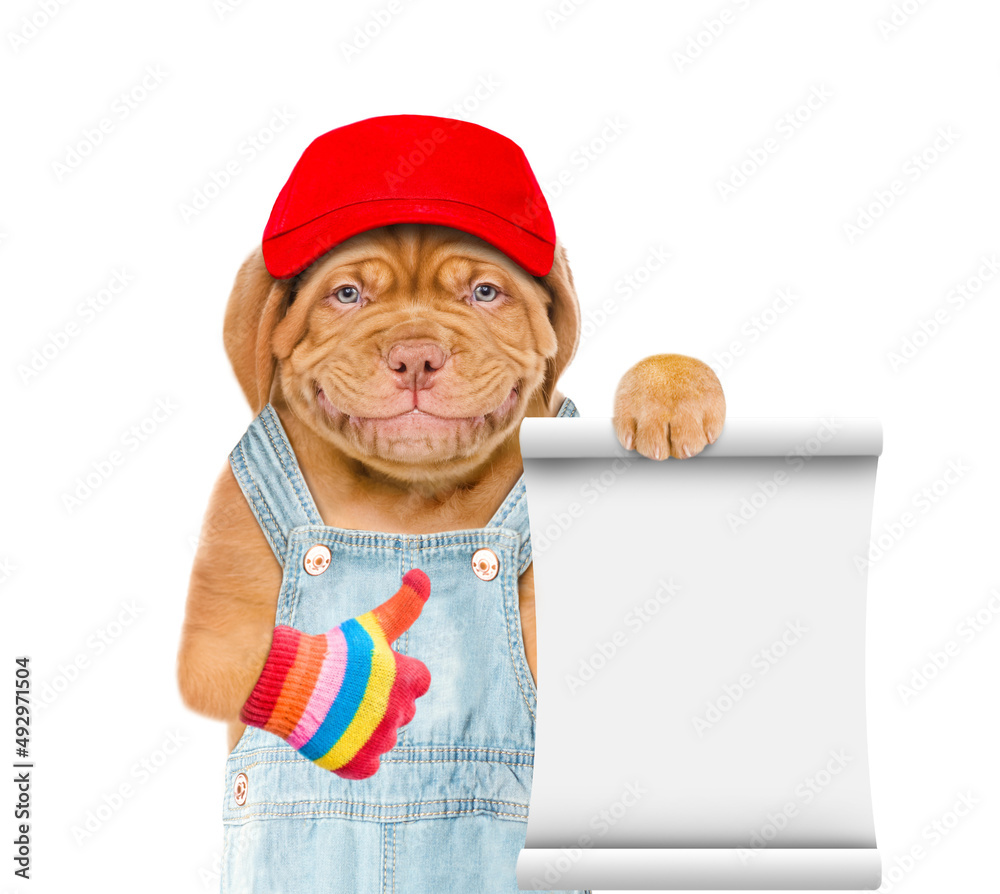 Poster Puppy wearing red cap and overalls shows empty list and thumbs up gesture. Isolated on white background