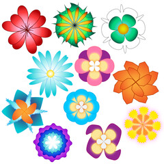 Set of 11 vector flowers (icons)