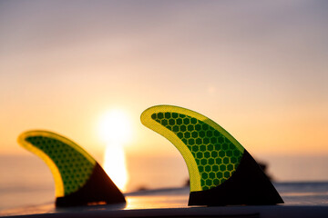 fins of a surf board at sunset