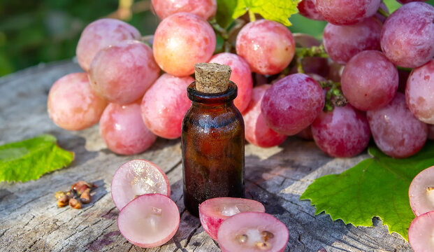 Grape seed oil in a glass jar and fresh grapes for spa and body care. The concept of spa, bio, eco products.