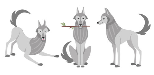 Vector illustration cute and beautiful wolf on white background. Charming character in different poses with plays, sits with a stick in the mouth and stands in cartoon style.