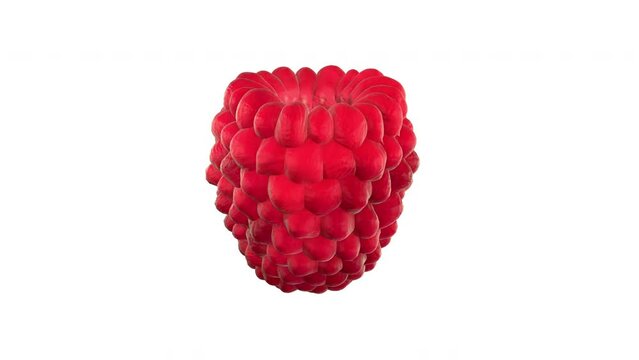 Realistic 3d one raspberries rotating on white background. 3d digital animation. Food fruit motion design element.