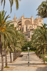 Fototapeta na wymiar Palma de Mallorca cathedral. Balearic islands. Spanish cultural heritage. Landmark