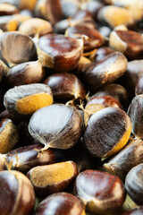 Close-up of pile of ripe raw chestnuts